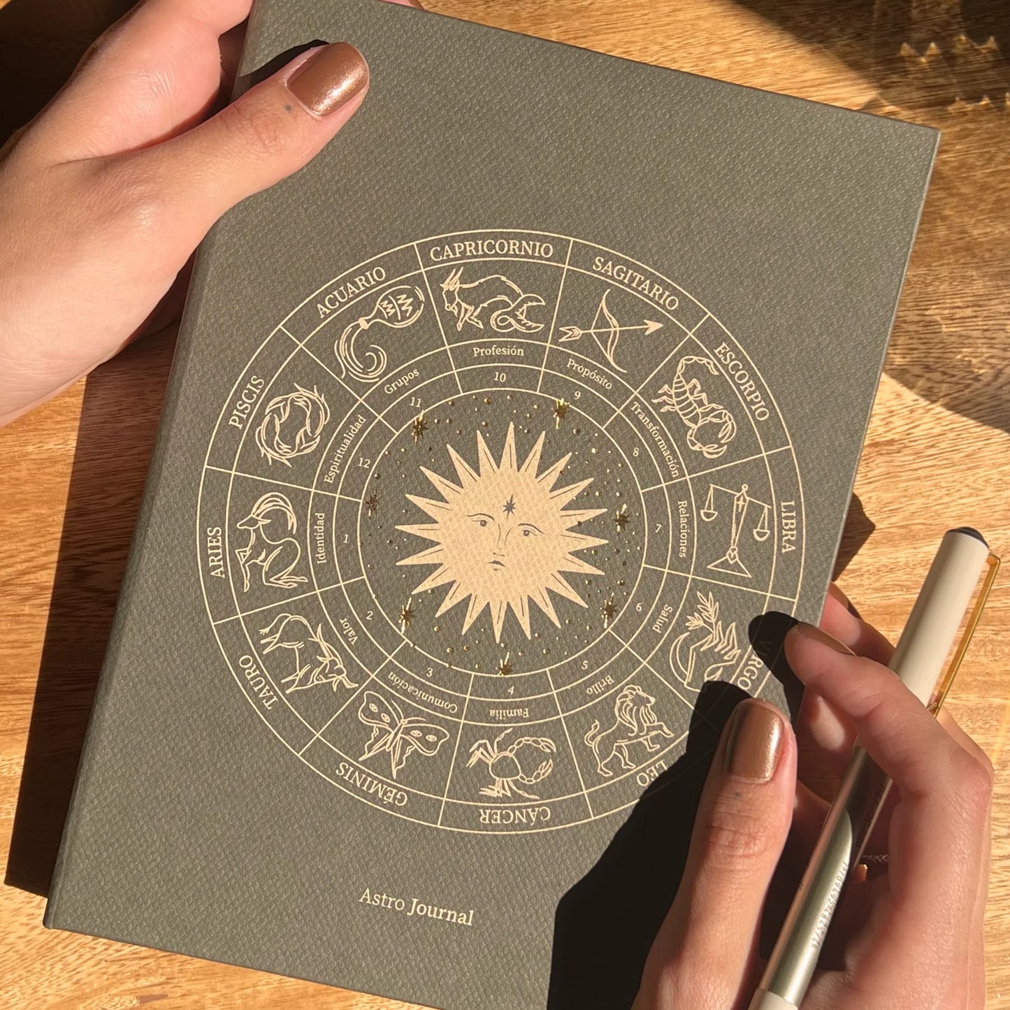 Astro Journal 2025